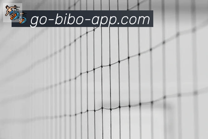 必博bibo官网体育平台生态图
