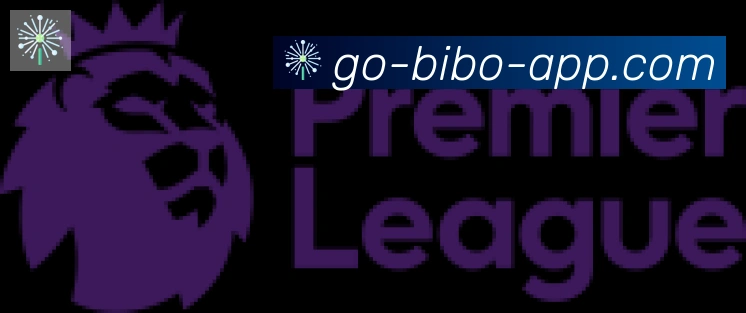 必博bibo官网体育合作伙伴